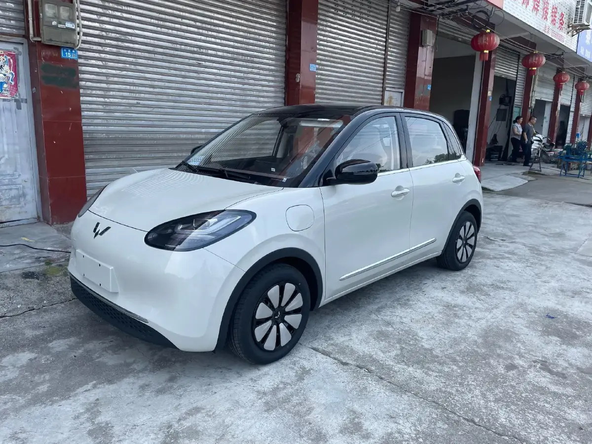 2025 WuLing BinGuo BEV