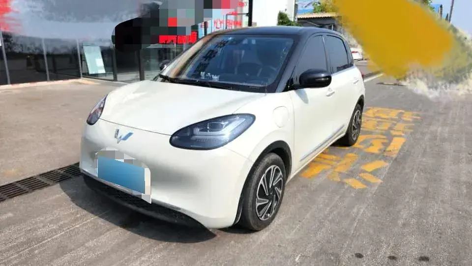 2023 WuLing BinGuo BEV 31.9KWH