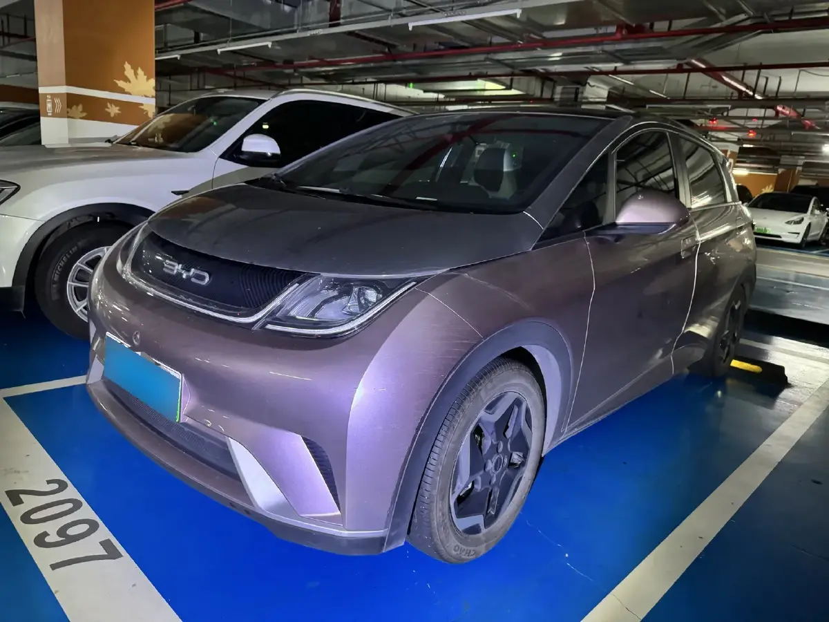 2021 BYD Dolphin BEV 44.9KWH