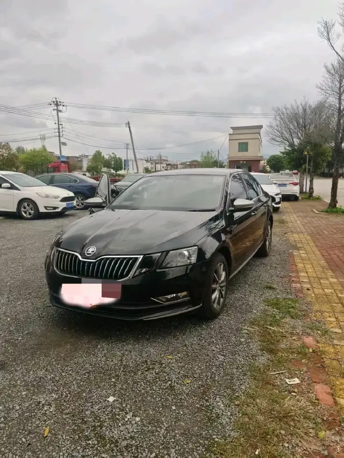 2019 Skoda Octavia 1.5L 116HP L4 6AT
