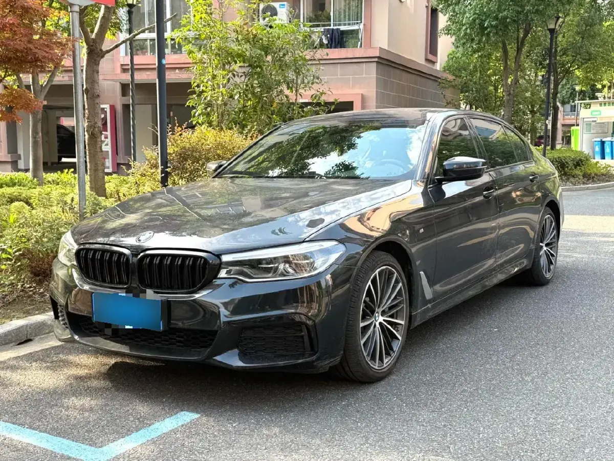 2020 BMW 5 Series 2.0T 252HP L4 8AT