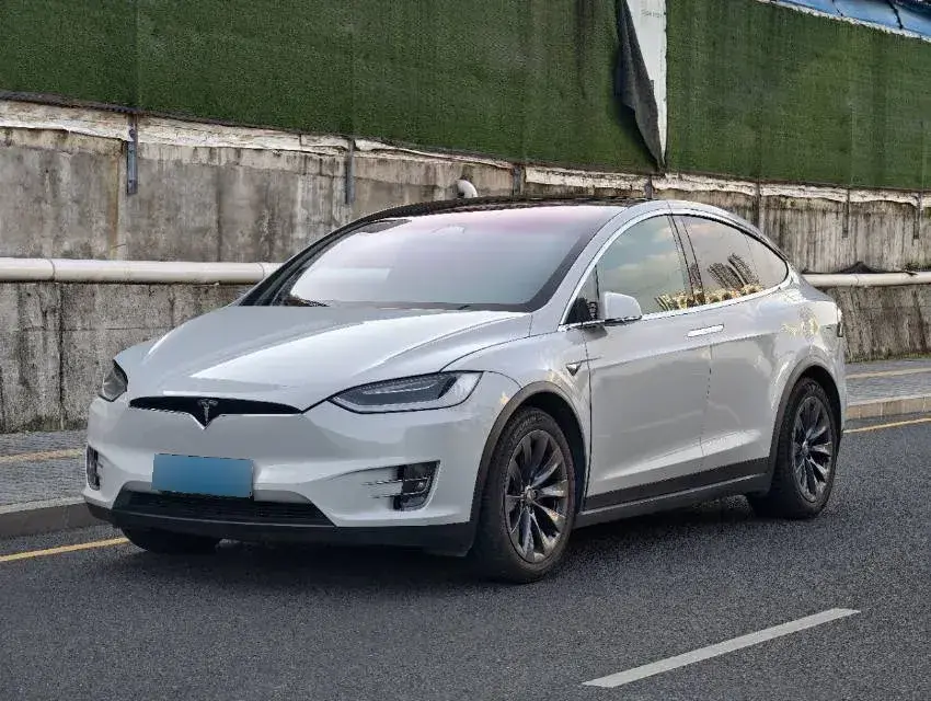 2019 Tesla Model X BEV 100KWH