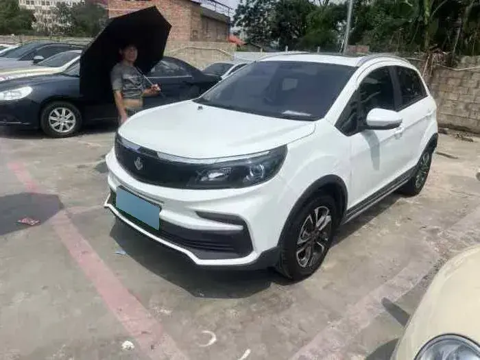 2020 Livan Maple 30X BEV 37KWH