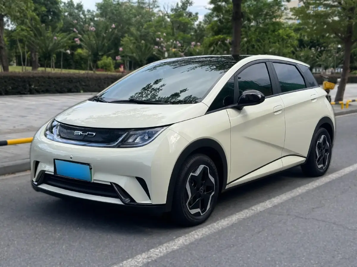 2021 BYD Dolphin BEV 44.9KWH
