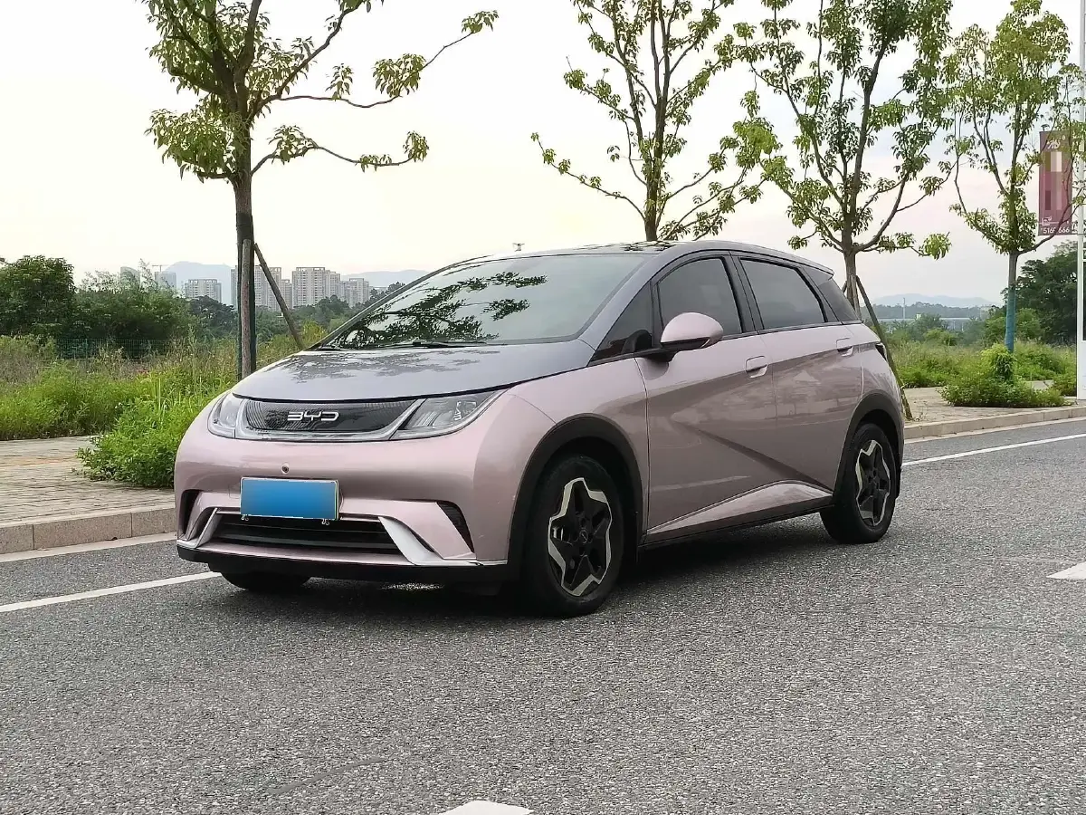 2021 BYD Dolphin BEV 44.9KWH