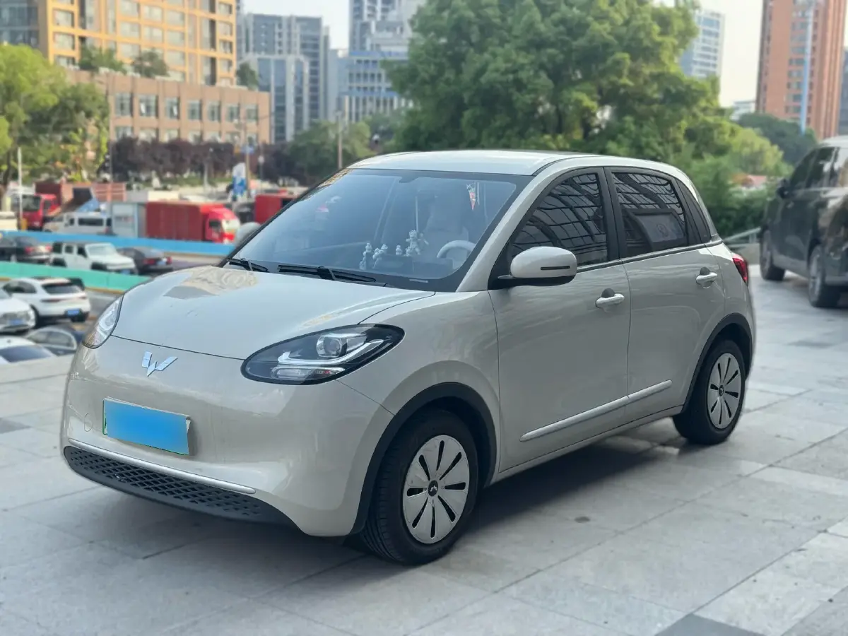 2023 WuLing BinGuo BEV 17.3KWH