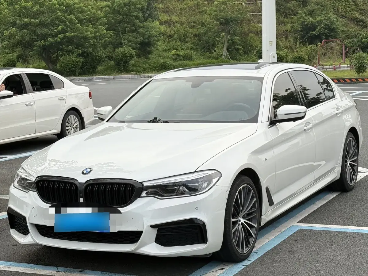 2020 BMW 5 Series 2.0T 252HP L4 8AT