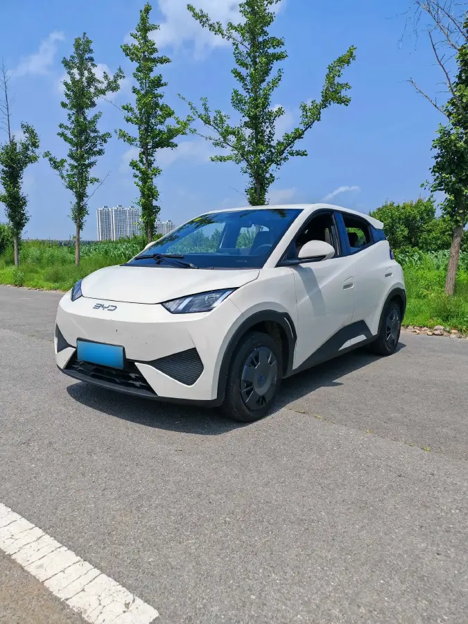 2025 BYD Seagull BEV 30.08KWH