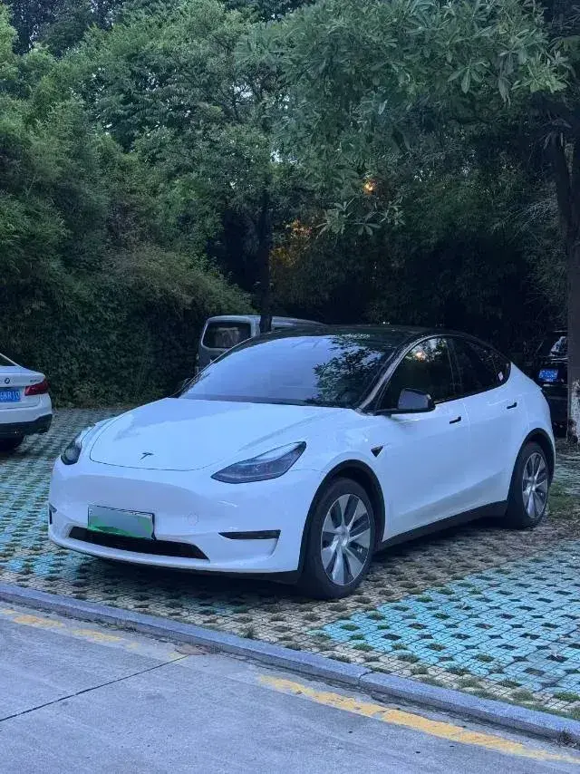 2021 Tesla Model Y BEV 60KWH