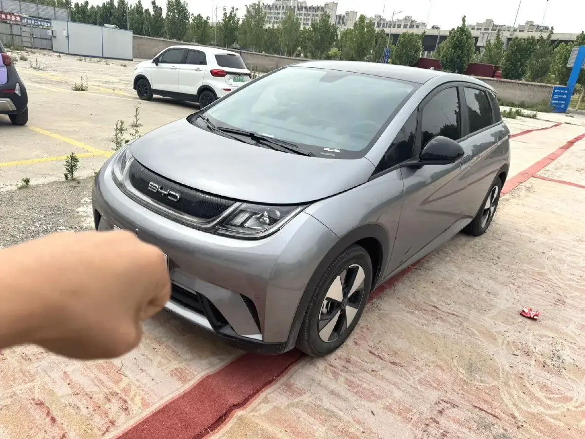 2023 BYD Dolphin BEV 44.928KWH
