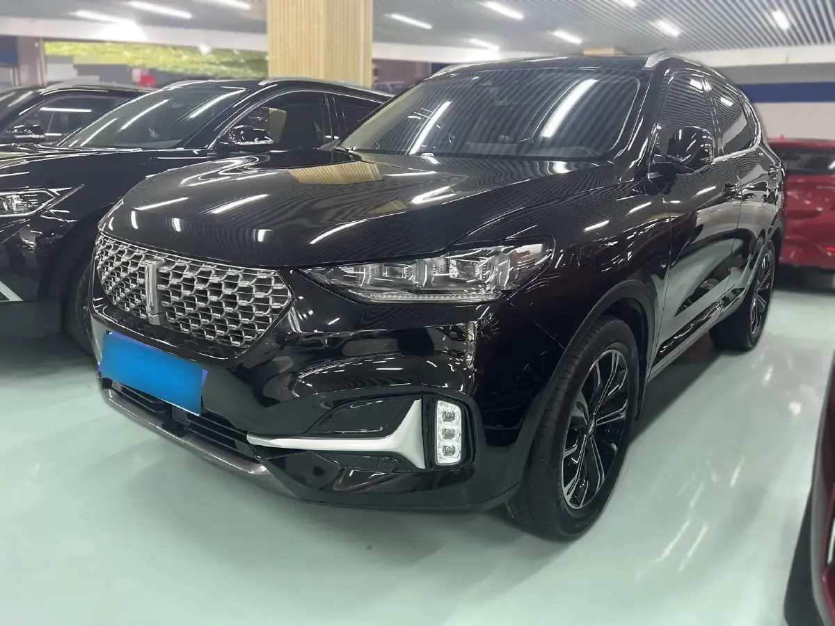 2021 WEY VV6 2.0T 227HP L4 7DCT