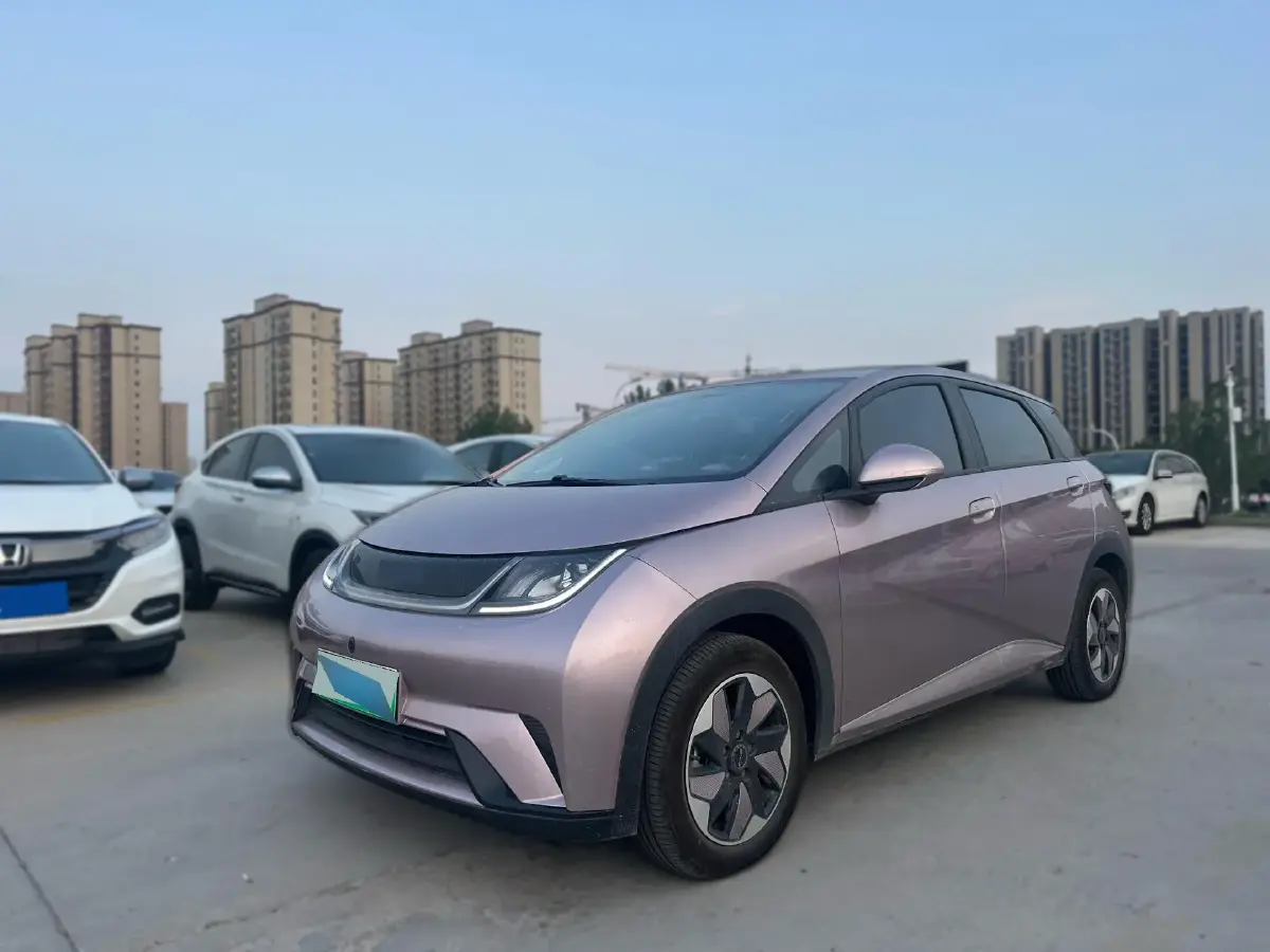 2024 BYD Dolphin BEV 44.928KWH