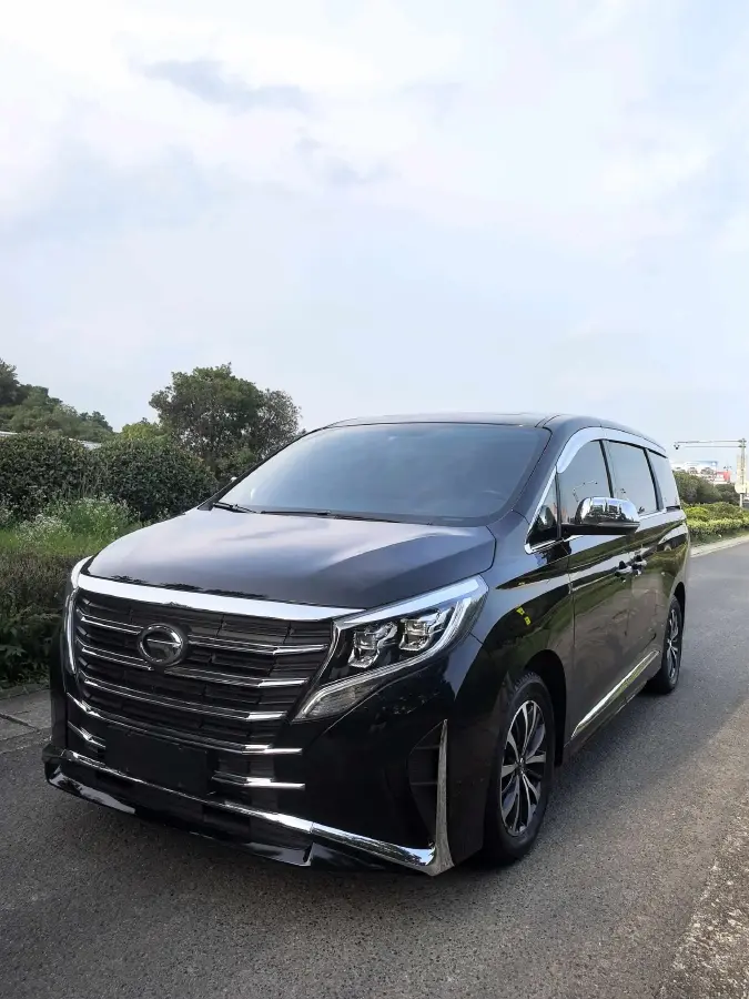 2021 GAC Trumpchi M8 2.0T 252HP L4 8AT