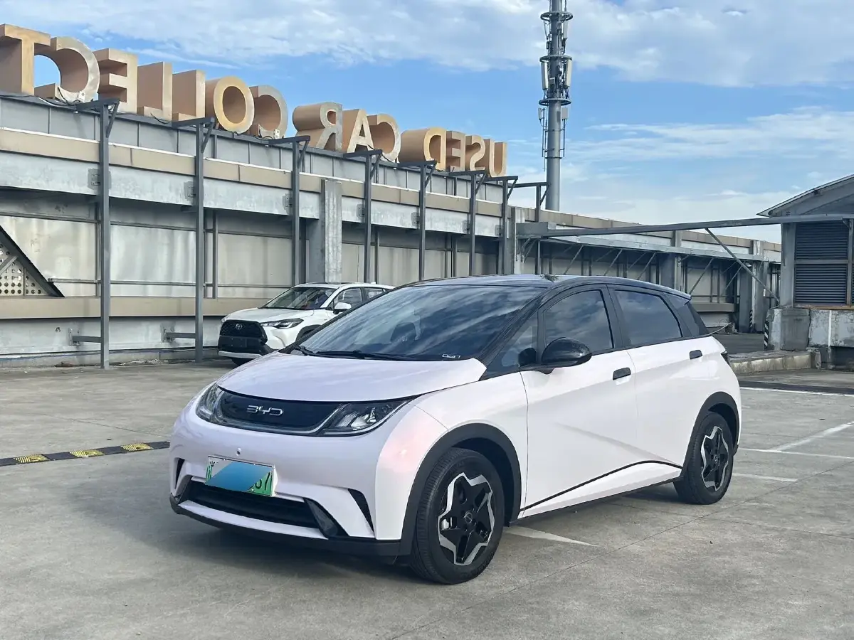 2021 BYD Dolphin BEV 44.9KWH