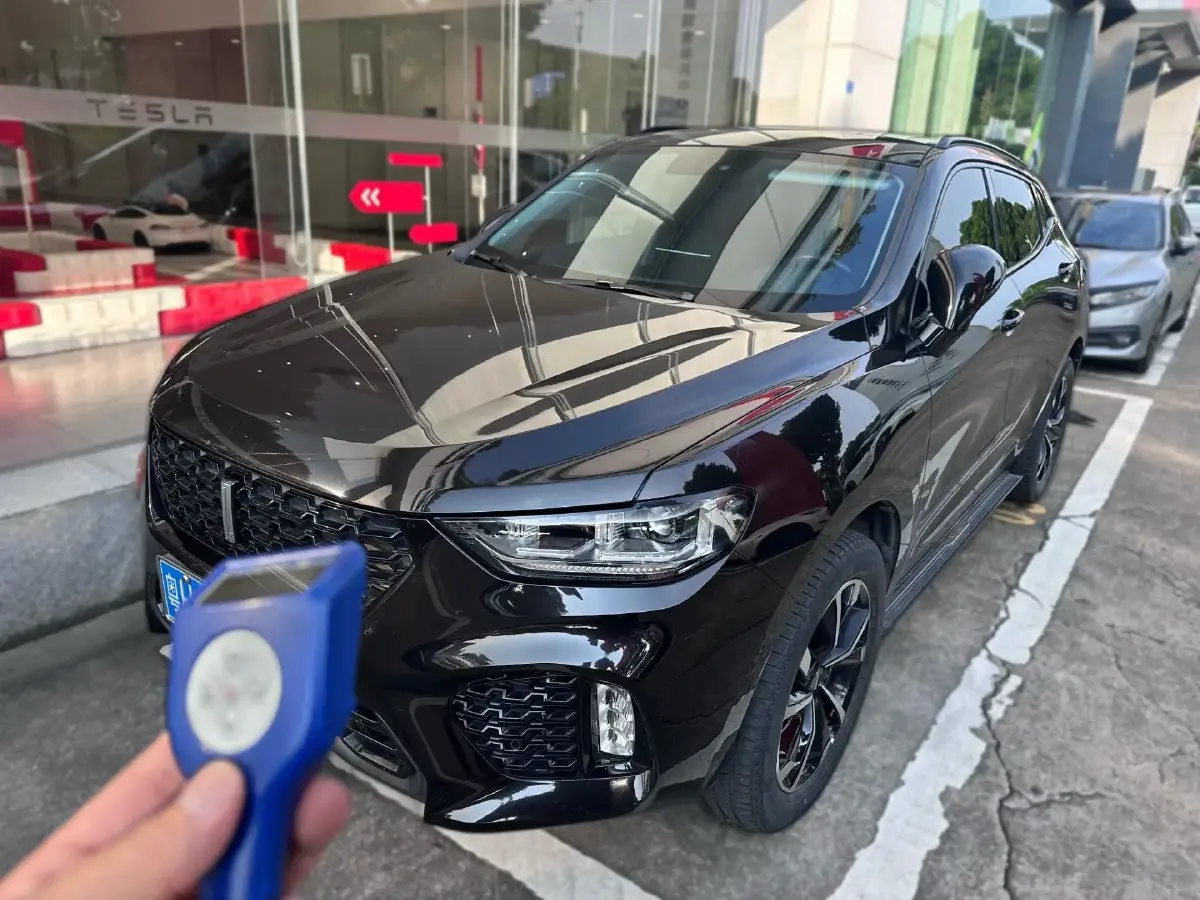 2019 WEY VV5 1.5T 169HP L4 7DCT