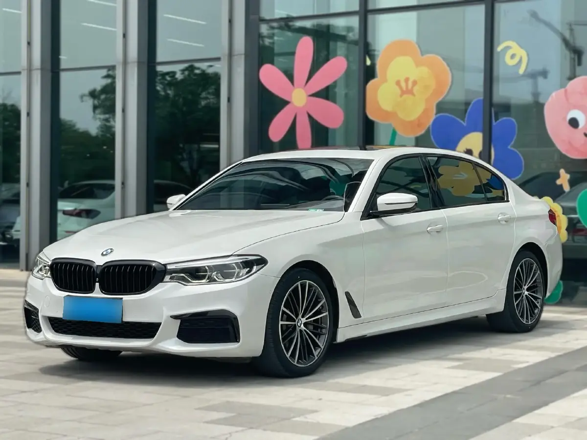 2020 BMW 5 Series 2.0T 252HP L4 8AT