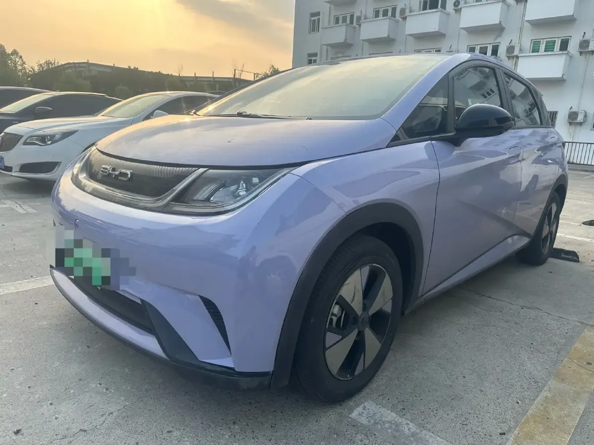 2023 BYD Dolphin BEV 44.928KWH