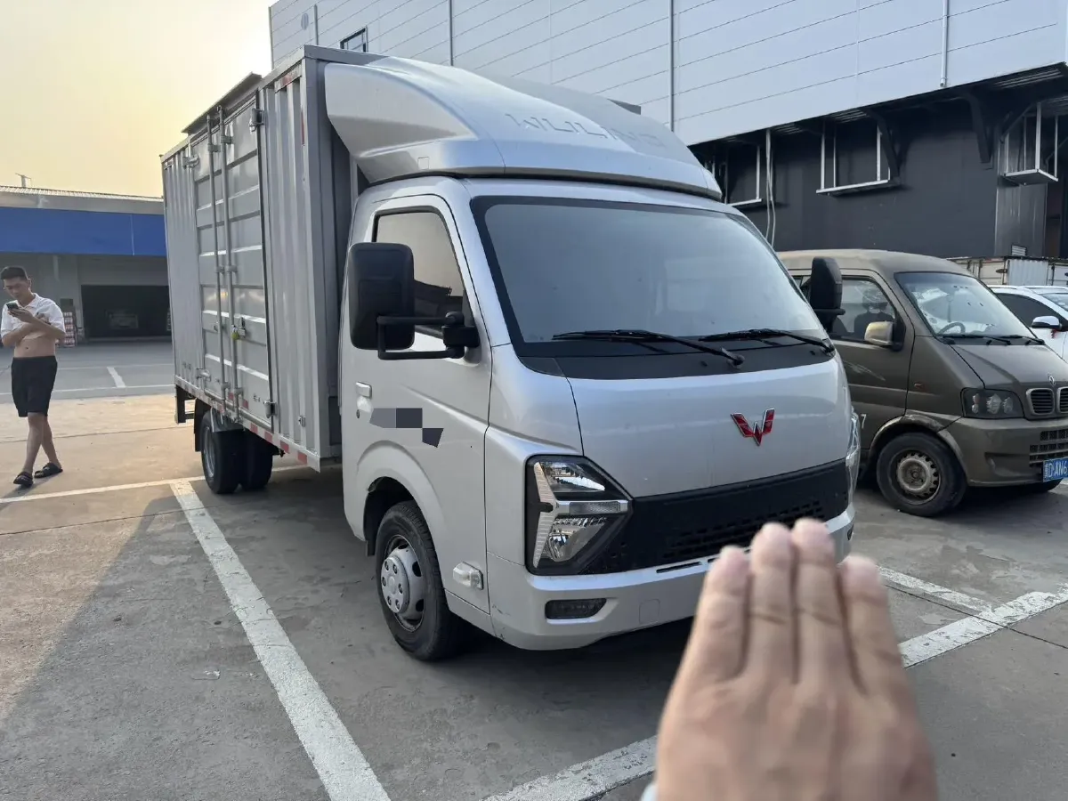 2023 WuLing Loong Truck 2.0L 136HP L4 5MT,autocango,china used car exporter,china ev exporter,chinese used car exporter,chinese used ev exporter