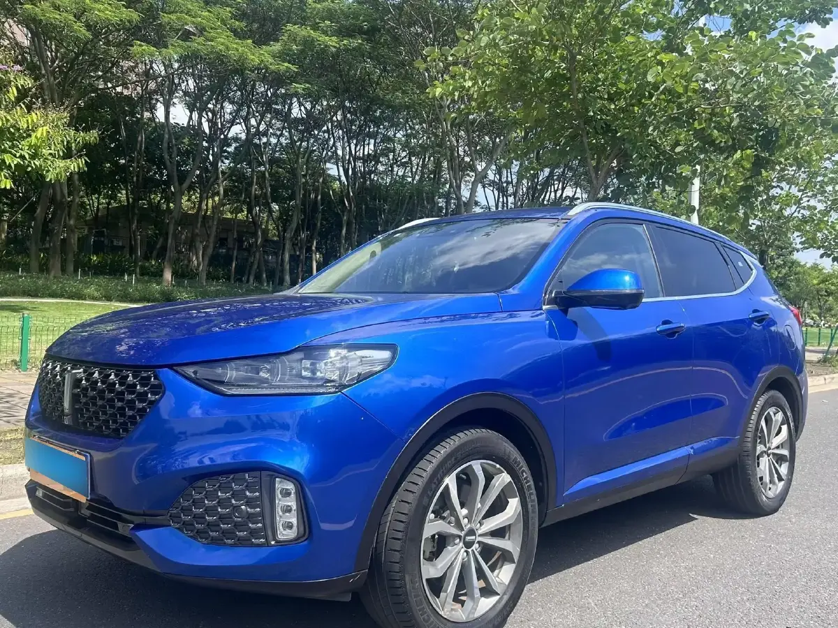 2020 WEY VV6 2.0T 227HP L4 7DCT