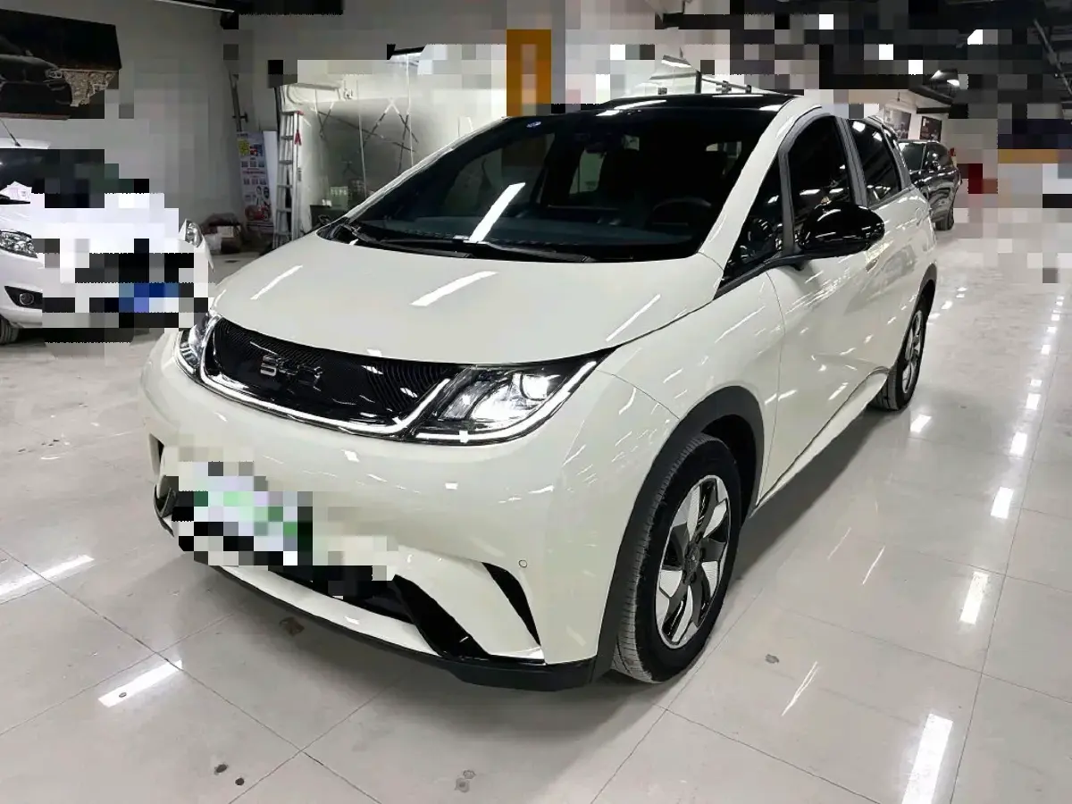 2024 BYD Dolphin BEV 44.928KWH