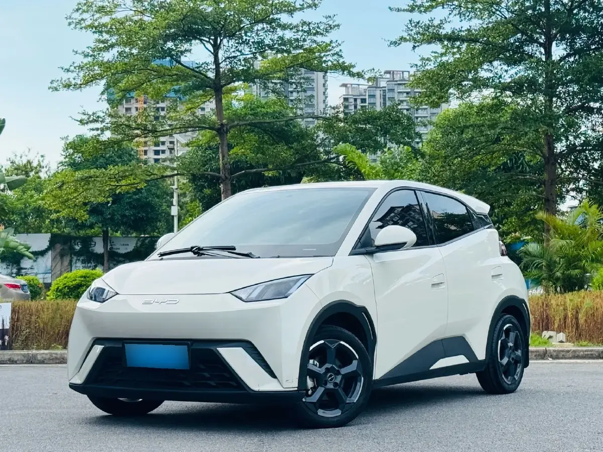 2023 BYD Seagull BEV 38.88KWH