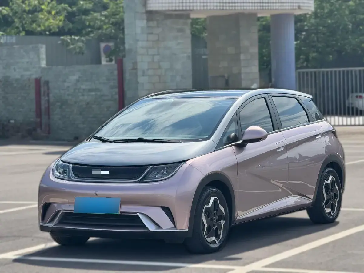 2021 BYD Dolphin BEV 44.9KWH