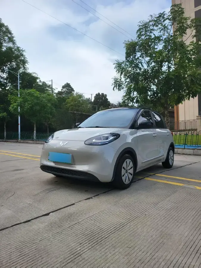 2024 WuLing BinGuo BEV 17.3KWH