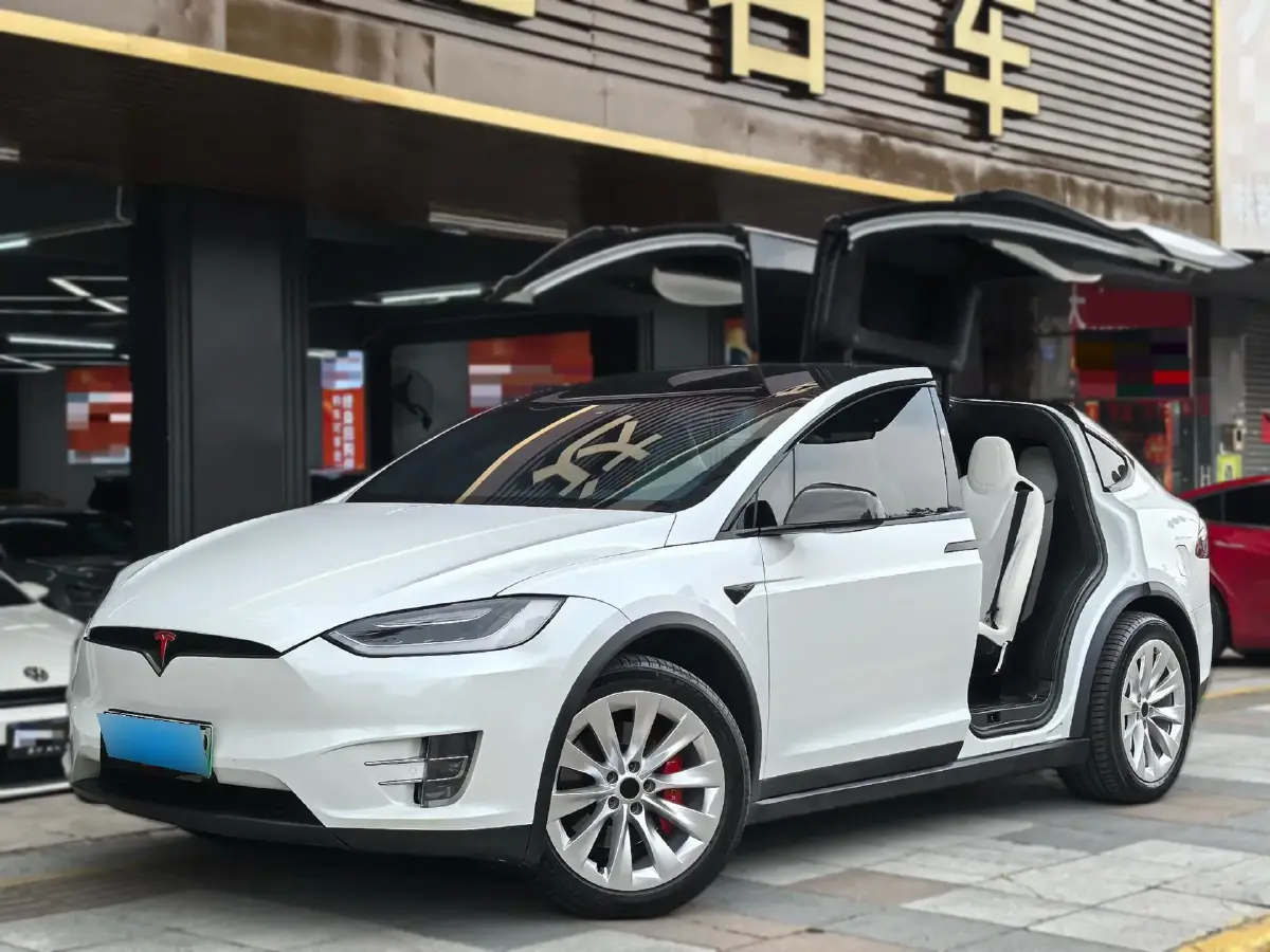 2017 Tesla Model X BEV 100KWH