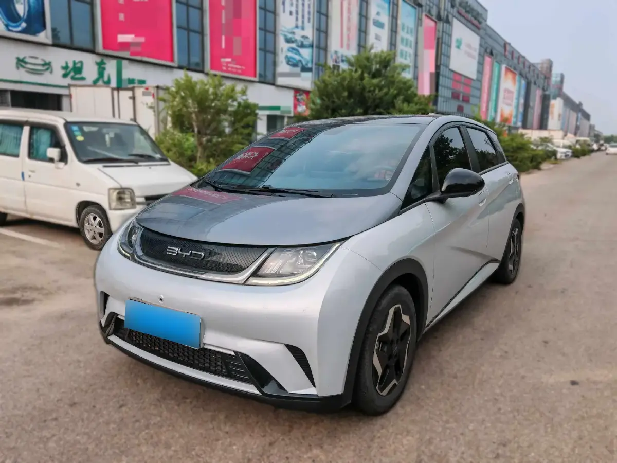 2021 BYD Dolphin BEV 44.9KWH