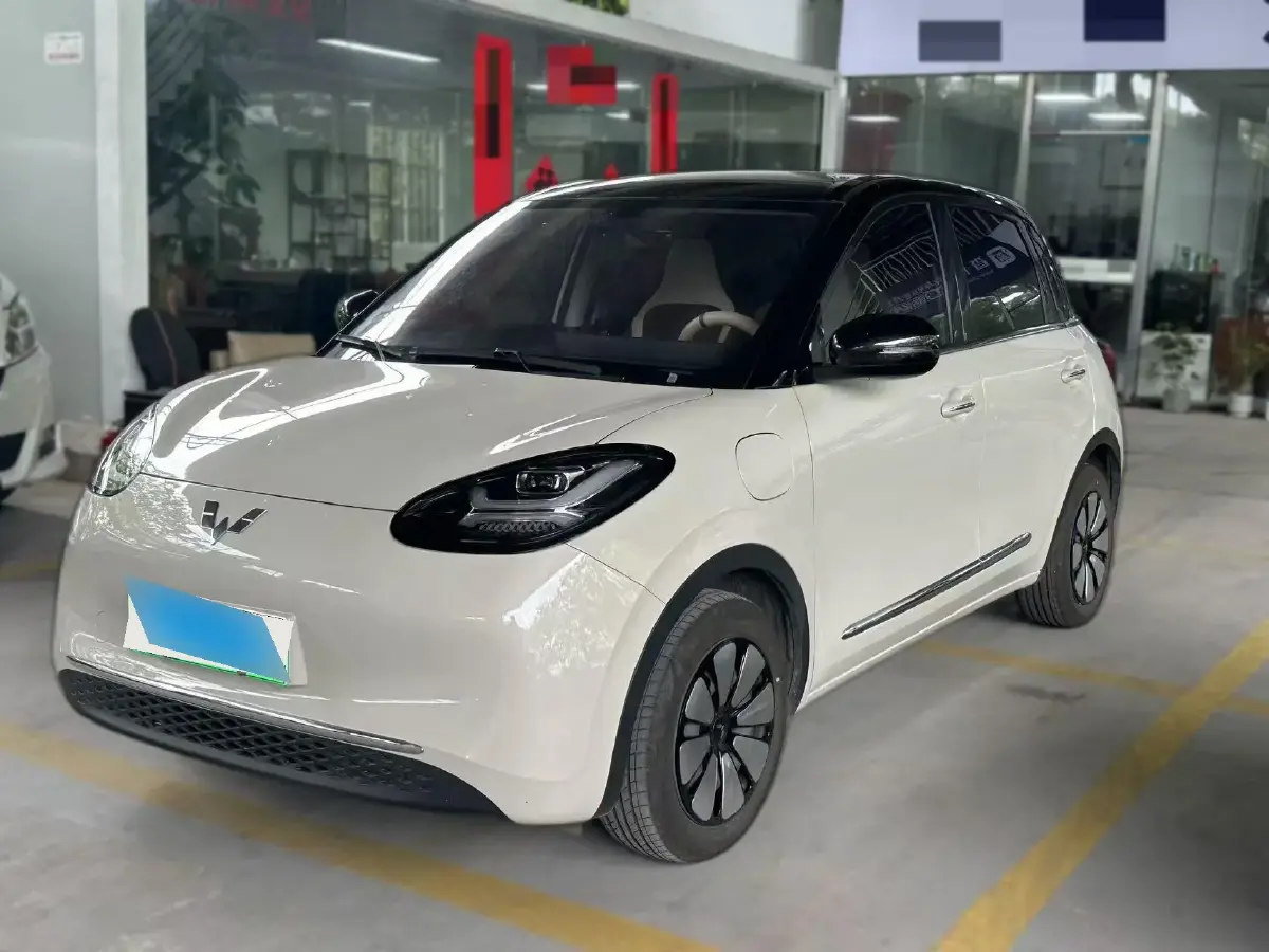 2024 WuLing BinGuo BEV 31.9KWH