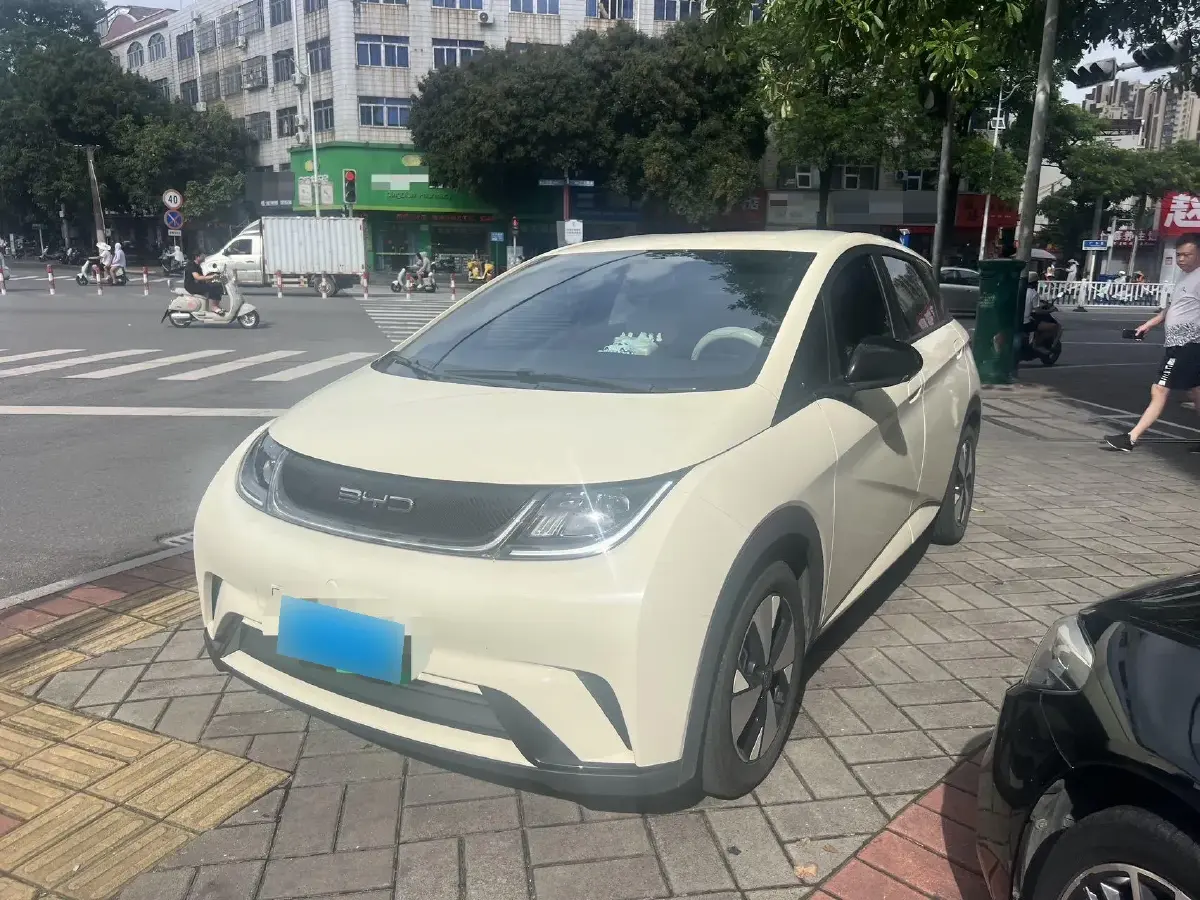 2023 BYD Dolphin BEV 44.928KWH