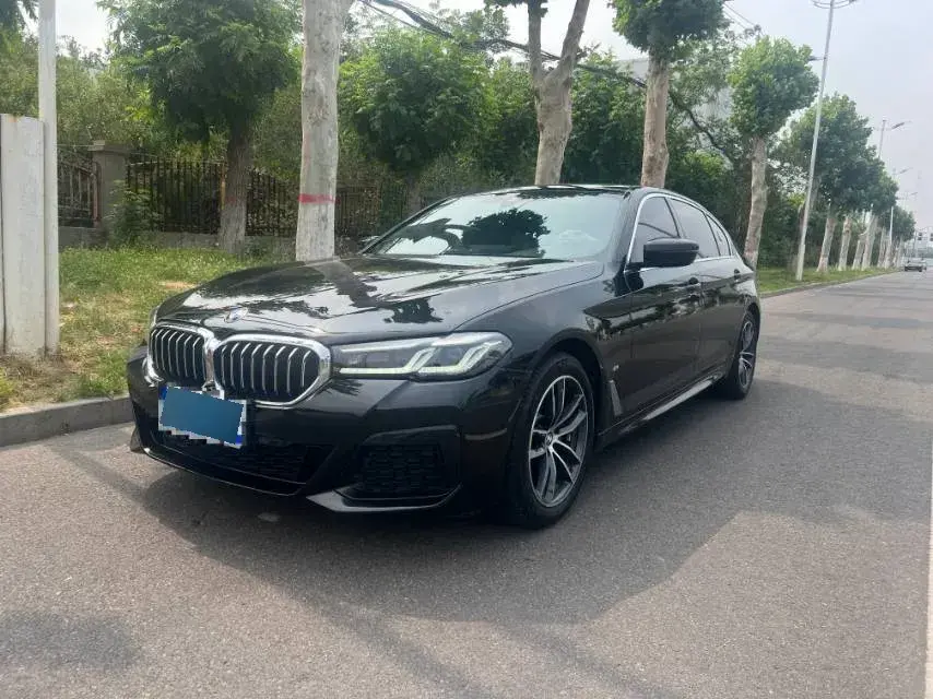 2021 BMW 5 Series 2.0T 184HP L4 8AT