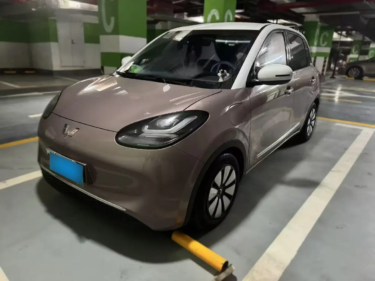 2023 WuLing BinGuo BEV 31.9KWH