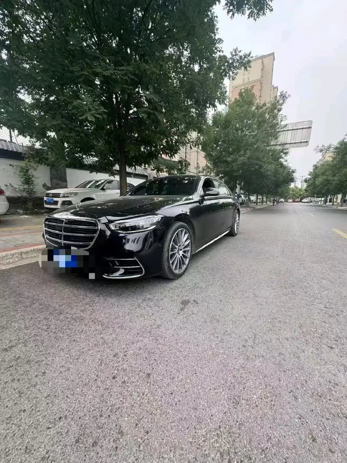 2023 Mercedes-Benz S Class 2.5T 367HP L6 9AT