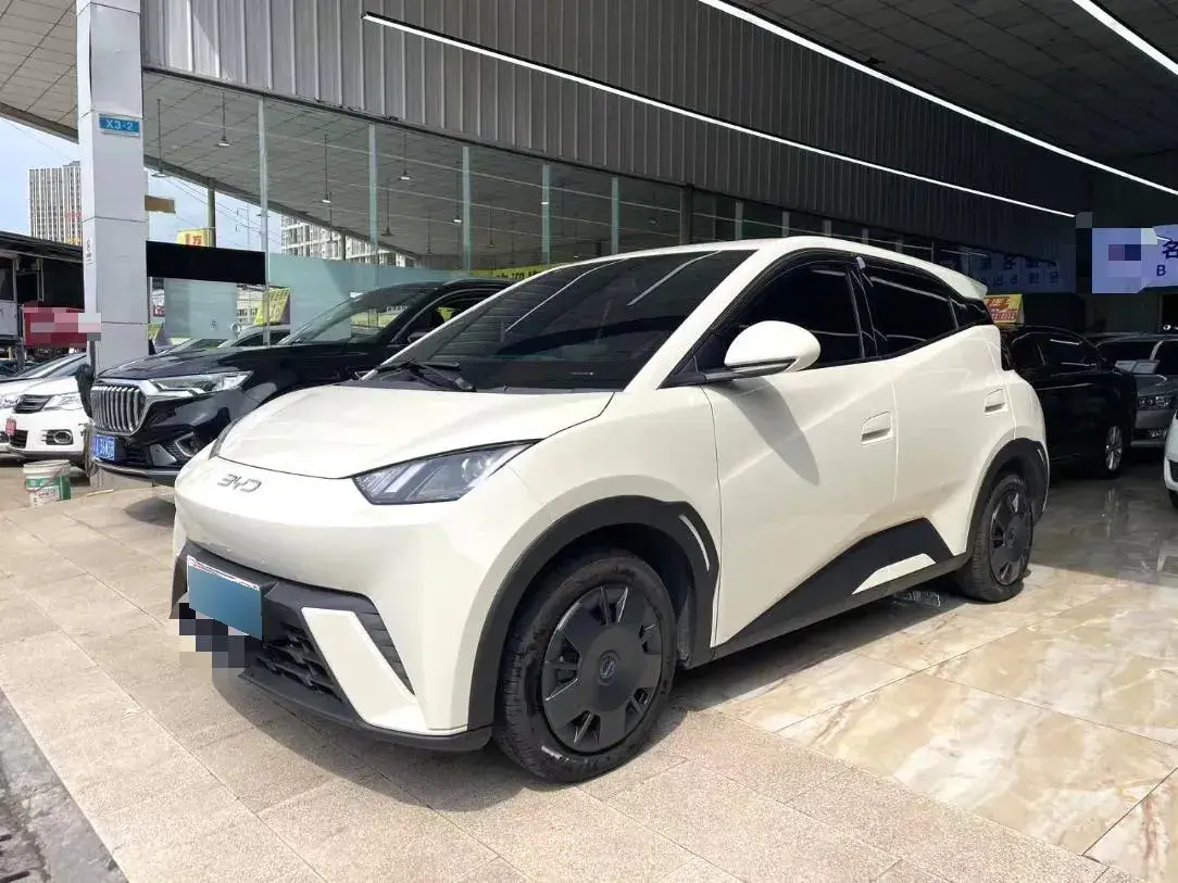 2024 BYD Seagull BEV 30.08KWH