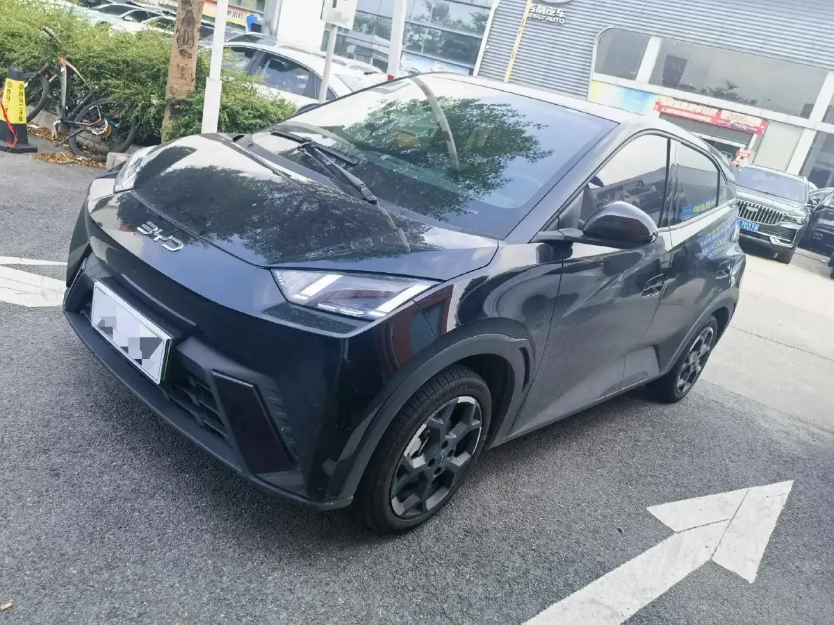 2025 BYD Seagull BEV 30.08KWH