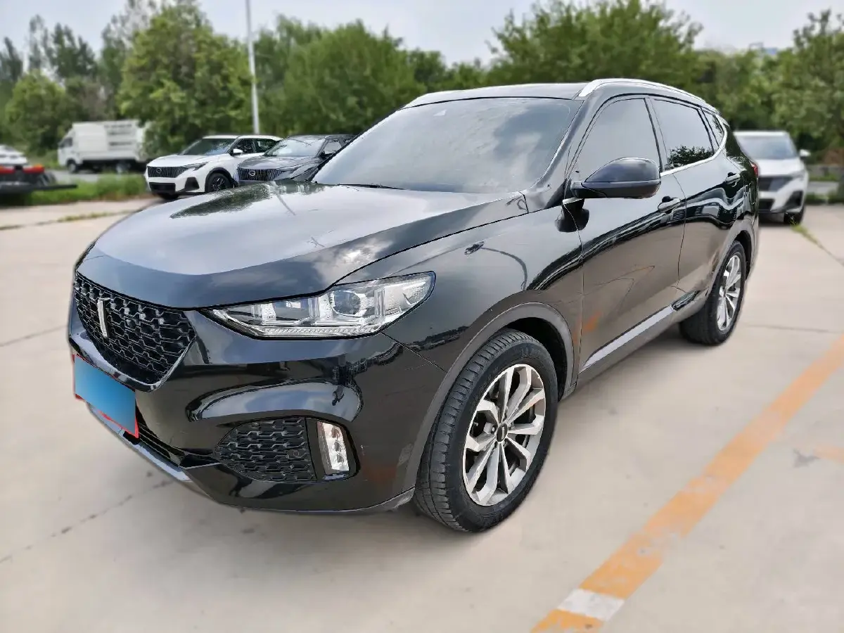 2018 WEY VV6 2.0T 197HP L4 7DCT