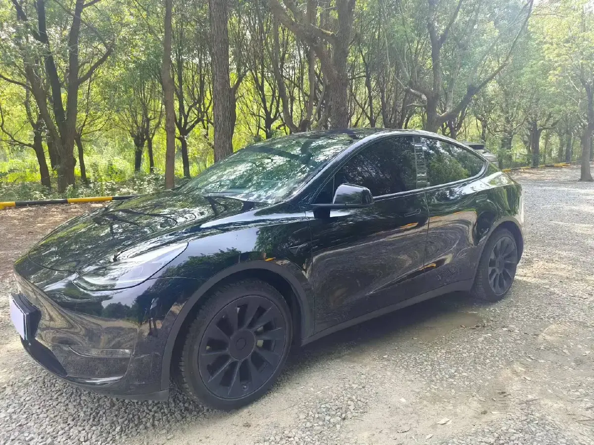 2021 Tesla Model Y BEV 60KWH