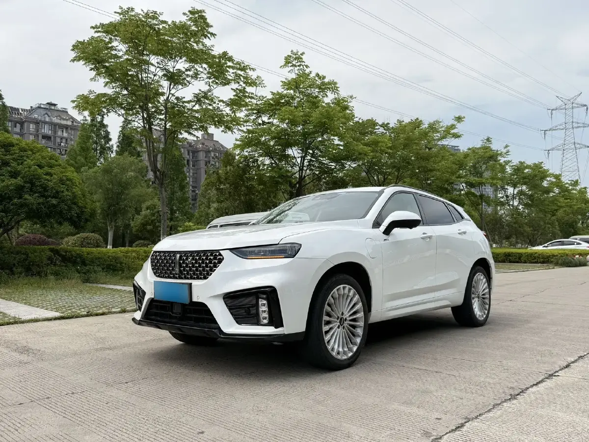2020 WEY VV7 2.0T 227HP L4 7DCT PHEV