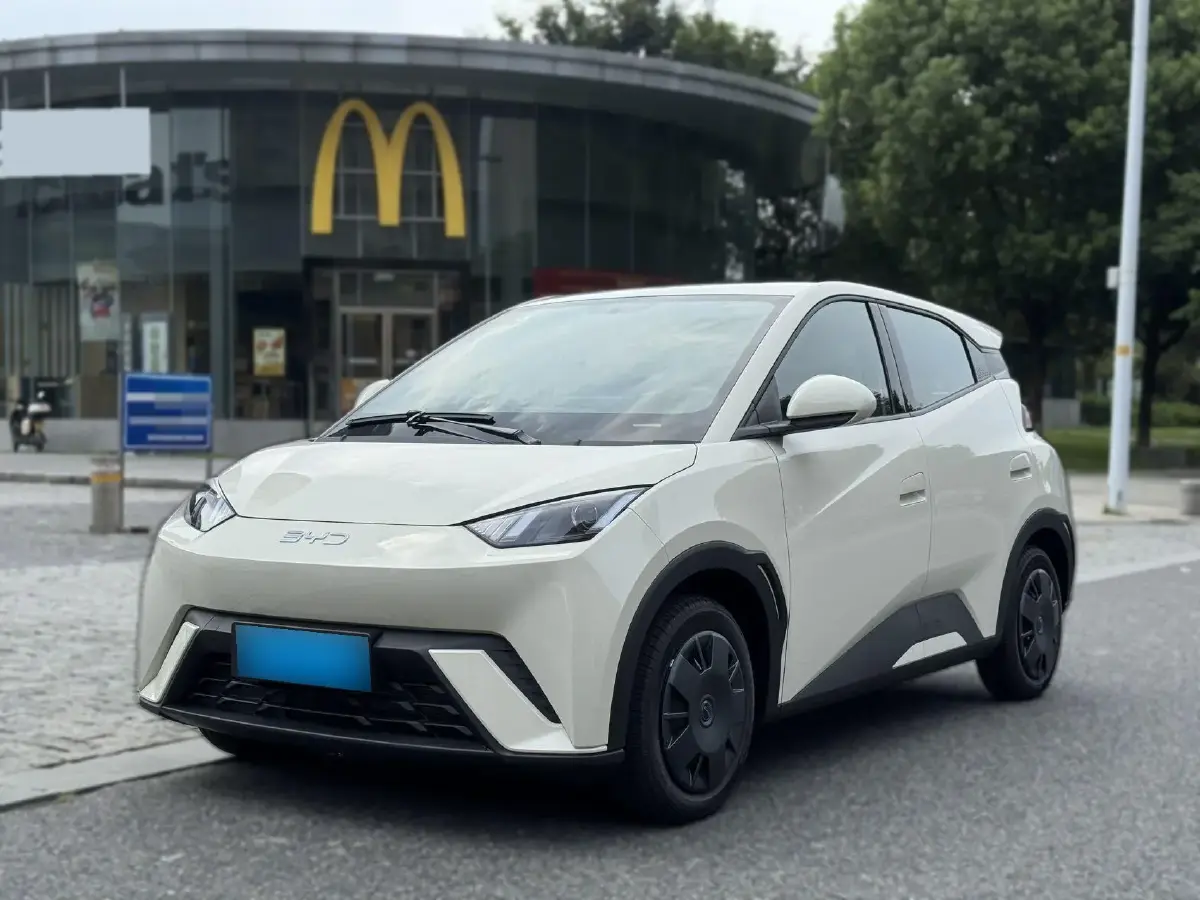 2025 BYD Seagull BEV 30.08KWH