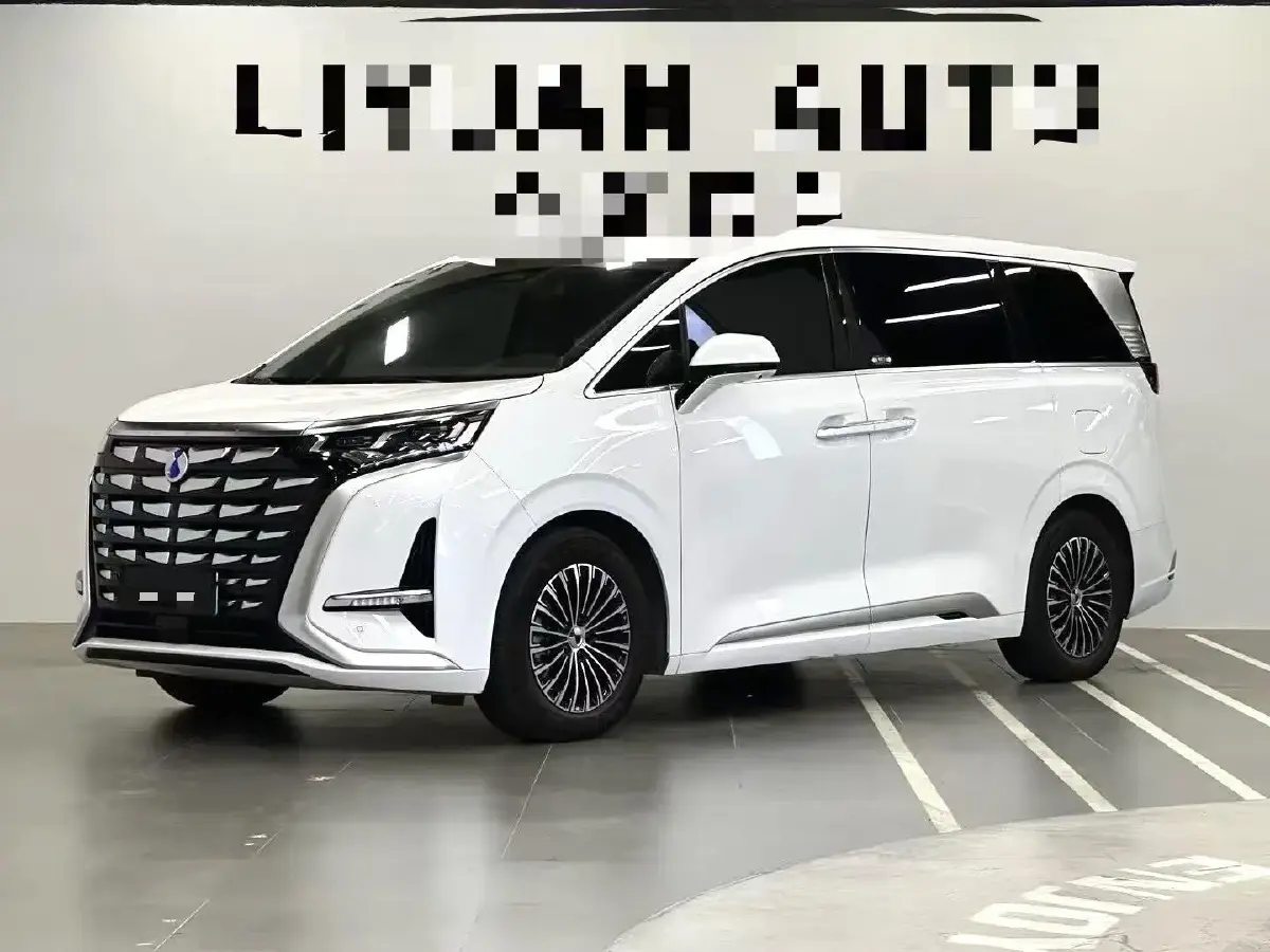 2022 Denza D9 1.5T 139HP L4 E-CVT PHEV 11.06KWH