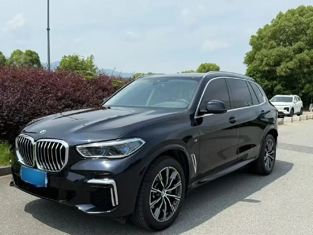 2023 BMW X5 2.0T 258HP L4 8AT