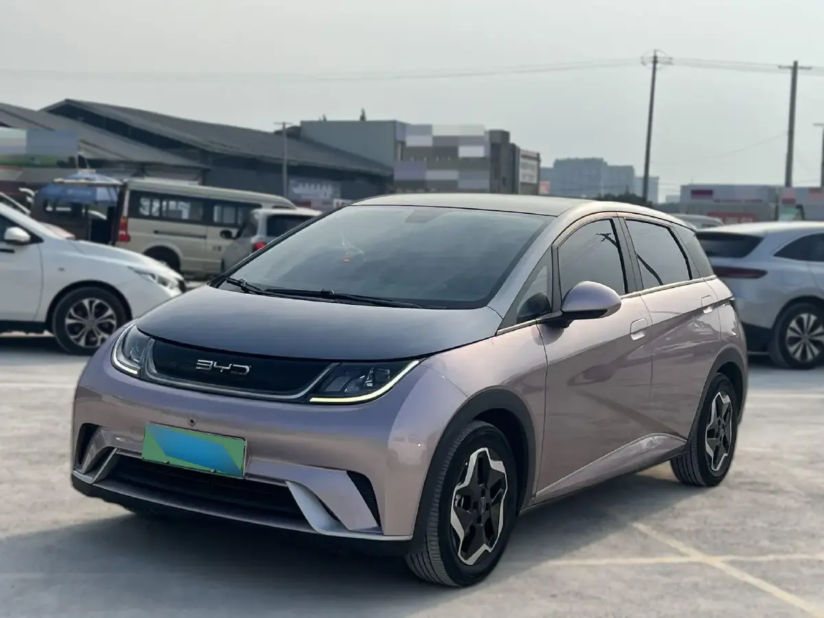 2021 BYD Dolphin BEV 44.9KWH
