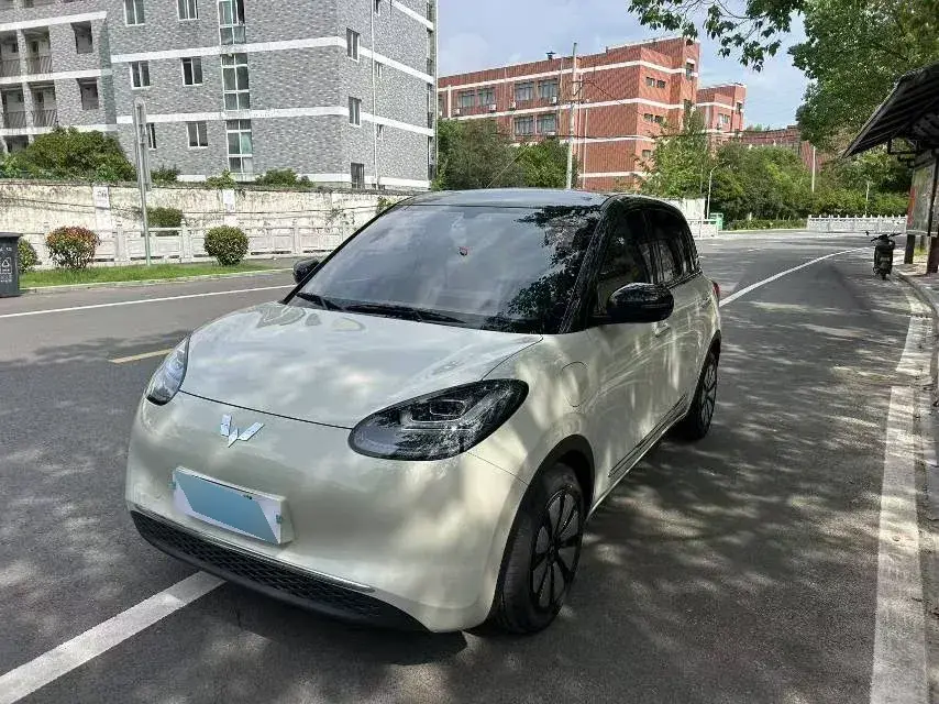 2024 WuLing BinGuo BEV 31.9KWH