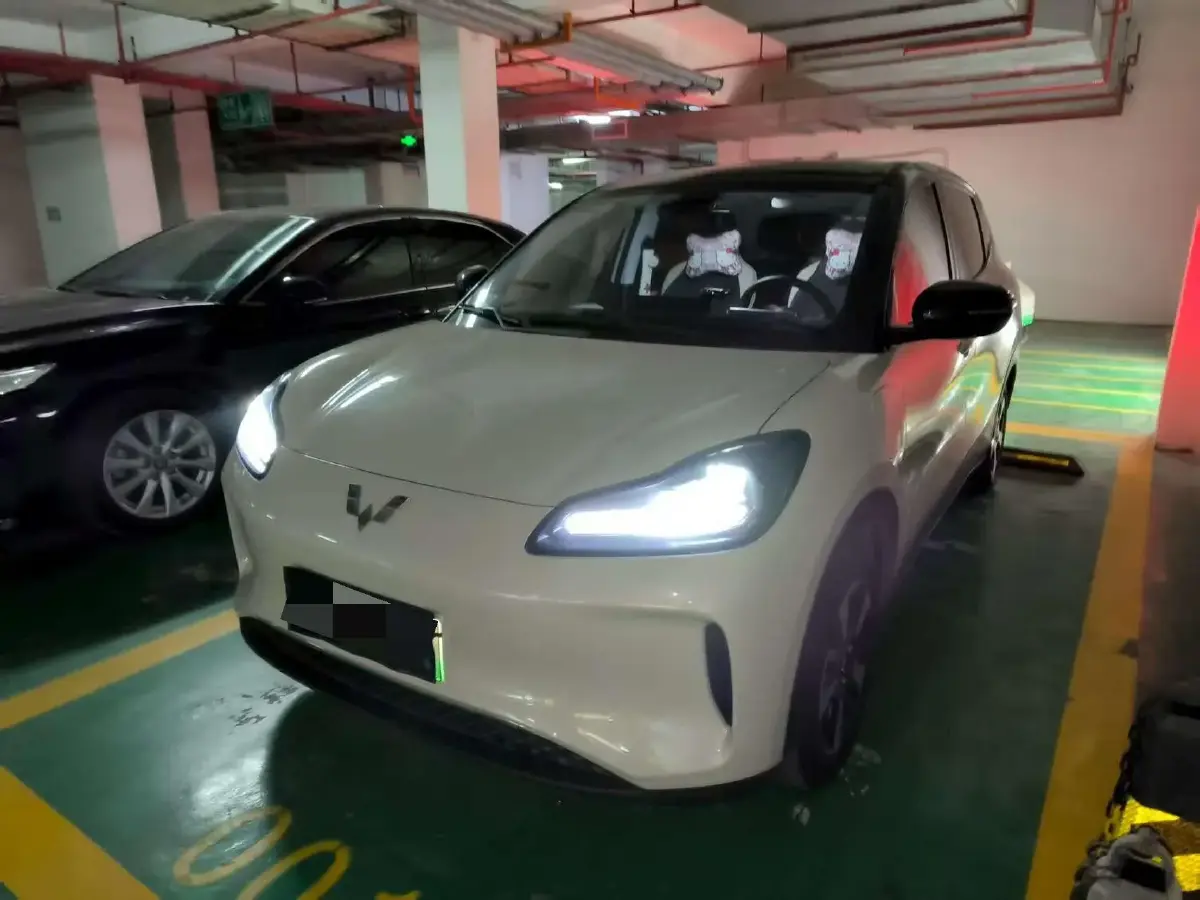 2024 WuLing BinGuoPLUS BEV 50.6KWH