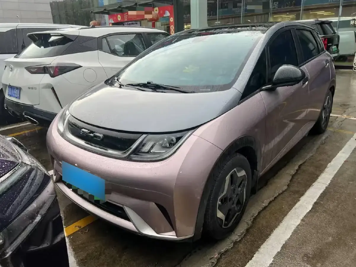 2021 BYD Dolphin BEV 44.9KWH
