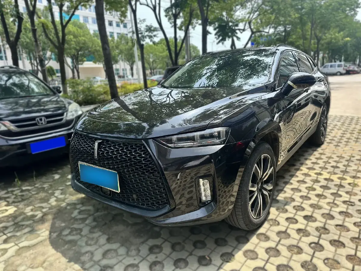 2018 WEY P8 2.0T 234HP L4 6DCT PHEV 12.96KWH