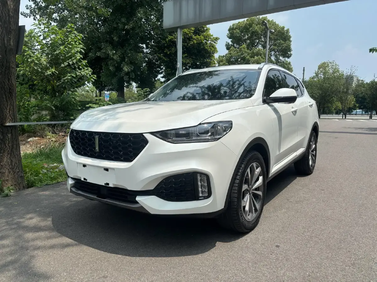 2018 WEY VV6 2.0T 197HP L4 7DCT