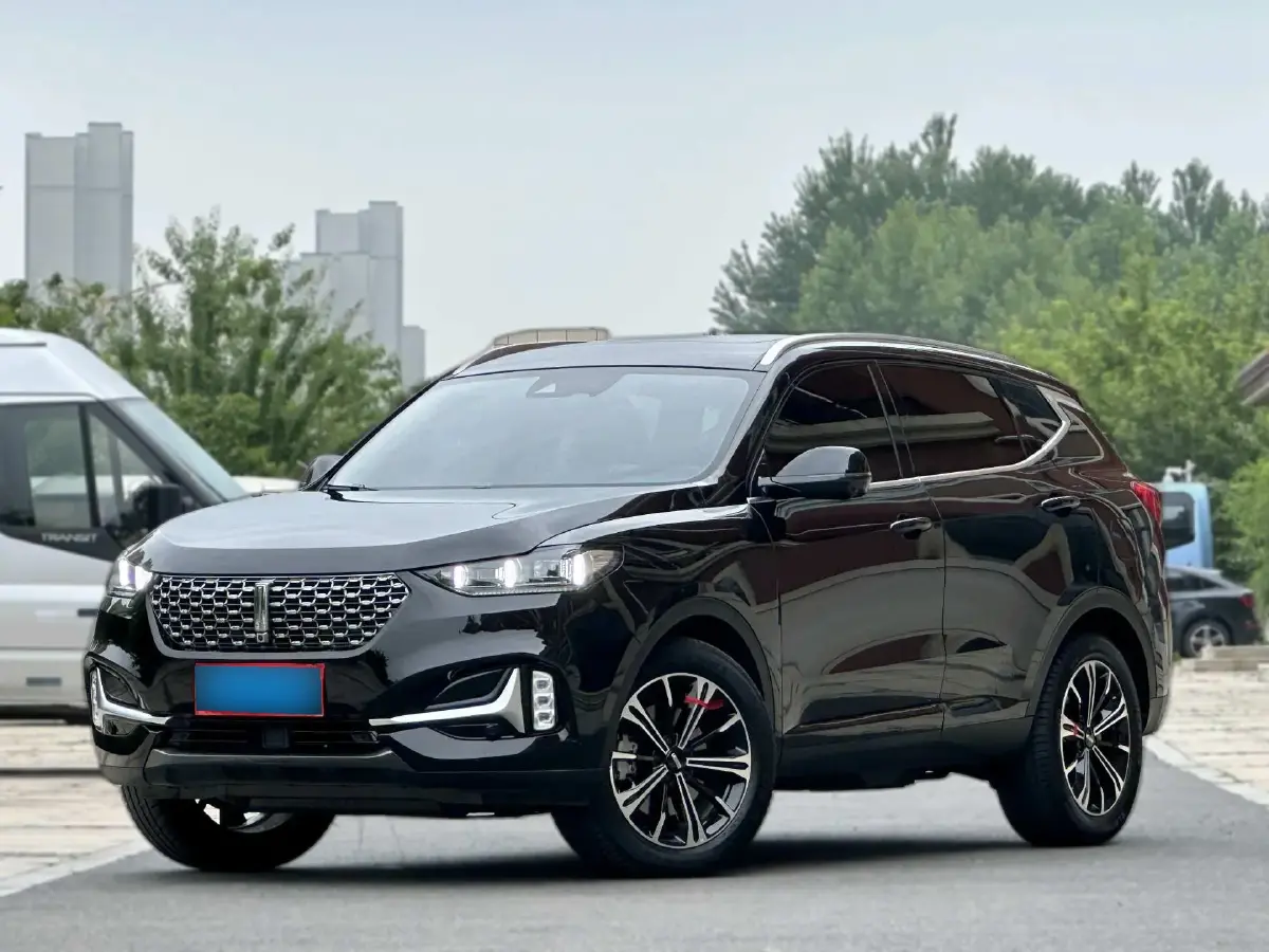 2021 WEY VV6 2.0T 227HP L4 7DCT