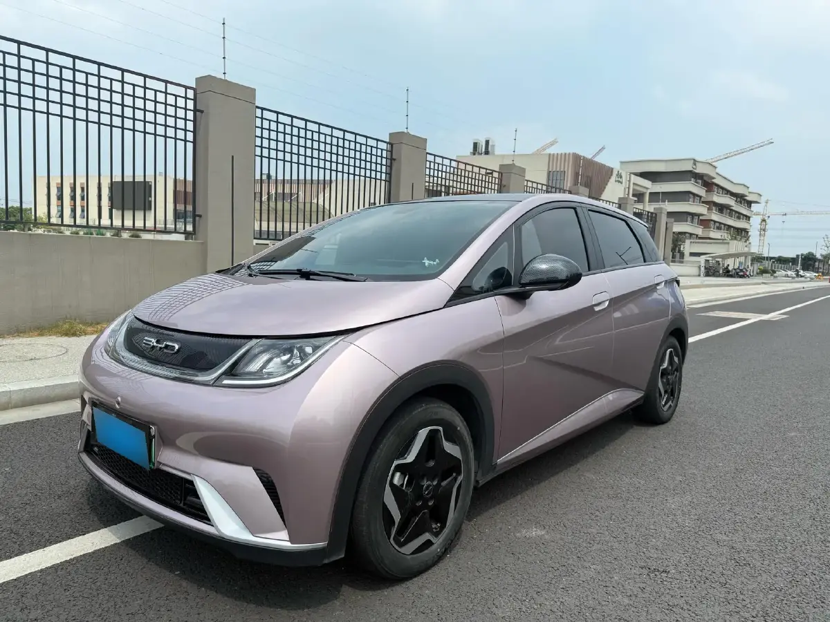 2021 BYD Dolphin BEV 44.9KWH